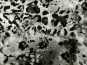 Feinjersey Leodruck 466880 in natur-grau-schwarz mit Silberglitter - 2